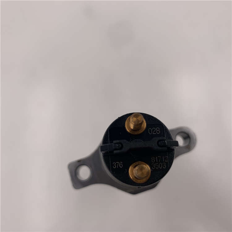 Good quality fuel injector control valve assembly -
Diesel Engine Common Rail Fuel Injector 0445120028 -Chengui detail pictures