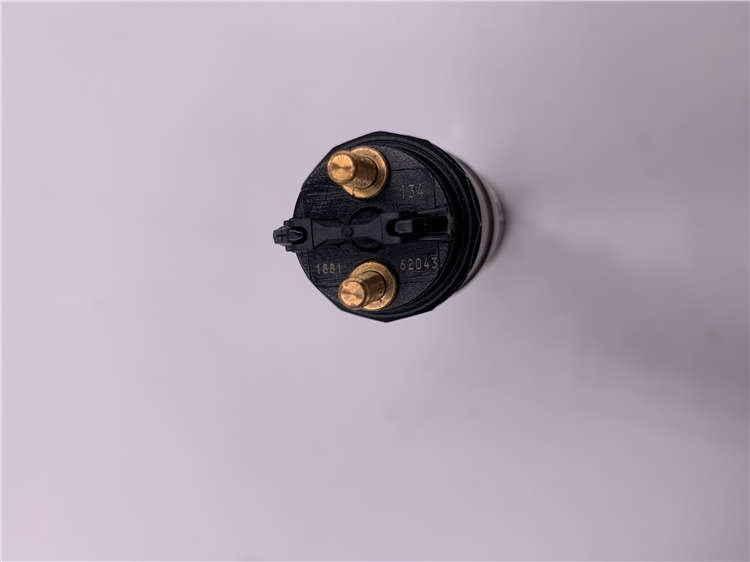 Manufacturer for diesel fuel injection pump element plunger -
Fuel Injection Common Rail Fuel Injector 0445120134 -Chengui detail pictures