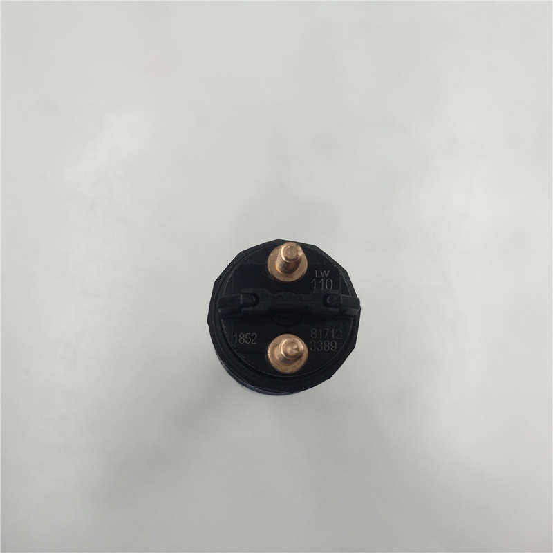 China Factory for aftermarket engine -
China Supplier High Quality Nozzle Fuel Injector 0445120110 -Chengui detail pictures