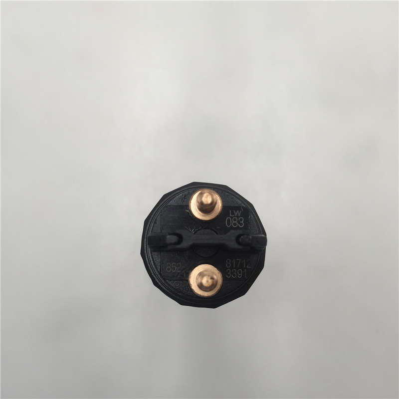 Factory Price nozzle DLLA150P1113 -
Diesel Engine Spare Part Common Rail Fuel Injector 0445120083 -Chengui detail pictures