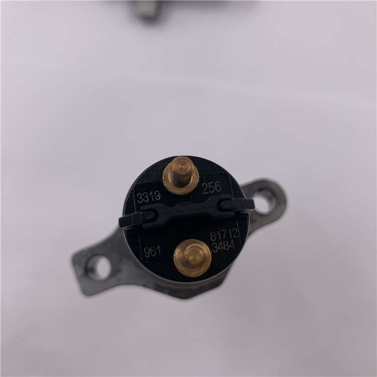 Good quality fuel injector control valve assembly -
High Pressure Common Rail Disesl Injector 0445120256 -Chengui detail pictures