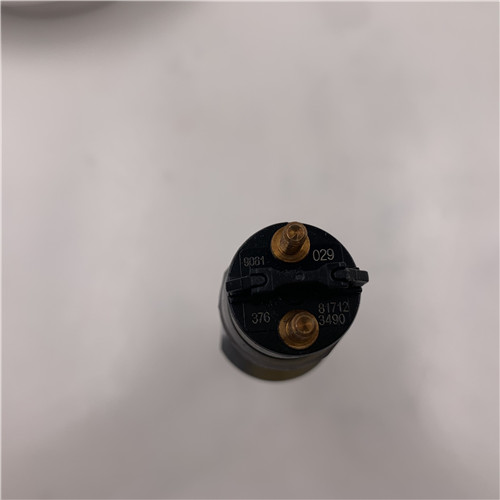 Hot sale Factory CAT fuel injector -
Good Price and High Quality Rail Injector 0445120029 -Chengui detail pictures