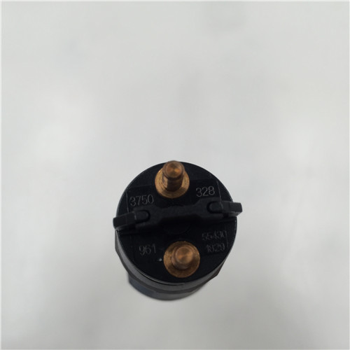 Factory Cheap diesel plunger assy -
Competitive price common rail injector 0445120328 for diesel fuel system -Chengui detail pictures
