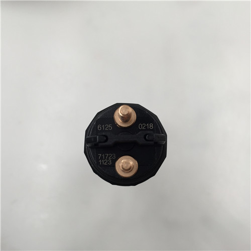 Factory Price Nozzle DLLA152P2344 Valve F00RJ01692 -
High Quality China Made New Fuel Injector 0445120218 Common Rail Injector For Man -Chengui detail pictures