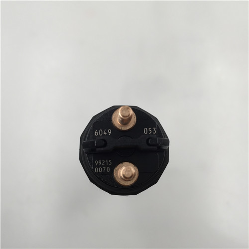 Well-designed BAW-1065 injector -
Competitive price common rail injector 0445120053 -Chengui detail pictures