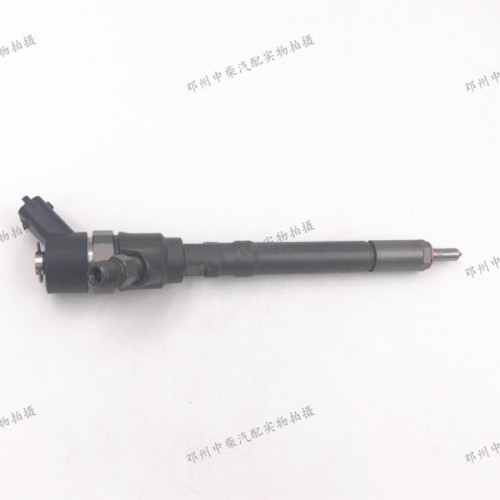 Wholesale Discount plunger 2450-104 -
 Auto truck parts common rail fuel injector -Chengui