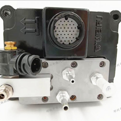 Factory direct selling high quality Weifu urea pump
