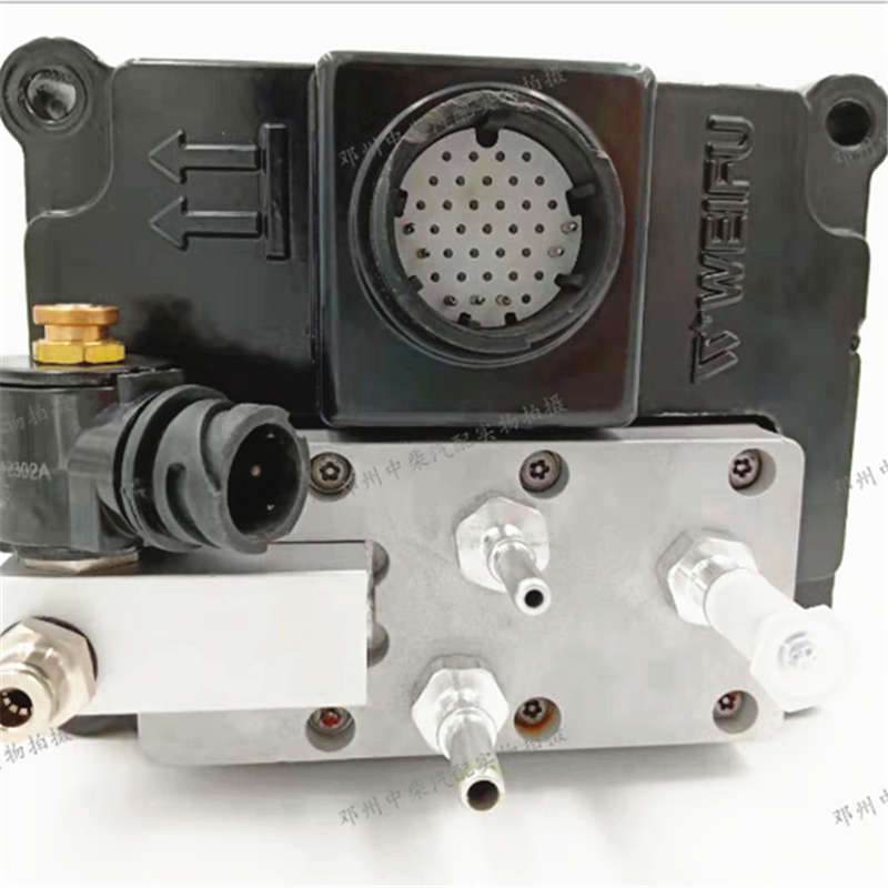 100% Original diesel injection -
 Factory direct selling high quality Weifu urea pump -Chengui