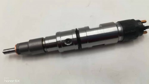 Ordinary Discount Bosch injector 0445110359 for Foton -
 High Pressure Common Rail Diesel Injector 0445120447  -Chengui