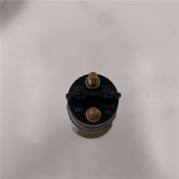 Factory Outlets del phi diesel nozzle -
Good price and high quality Diesel Common Rail Injector 0445120070 for diesel engine -Chengui detail pictures