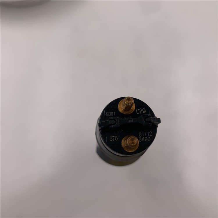 Reasonable price for genuine fuel pump -
Good Price and High Quality Rail Injector 0445120029 -Chengui detail pictures