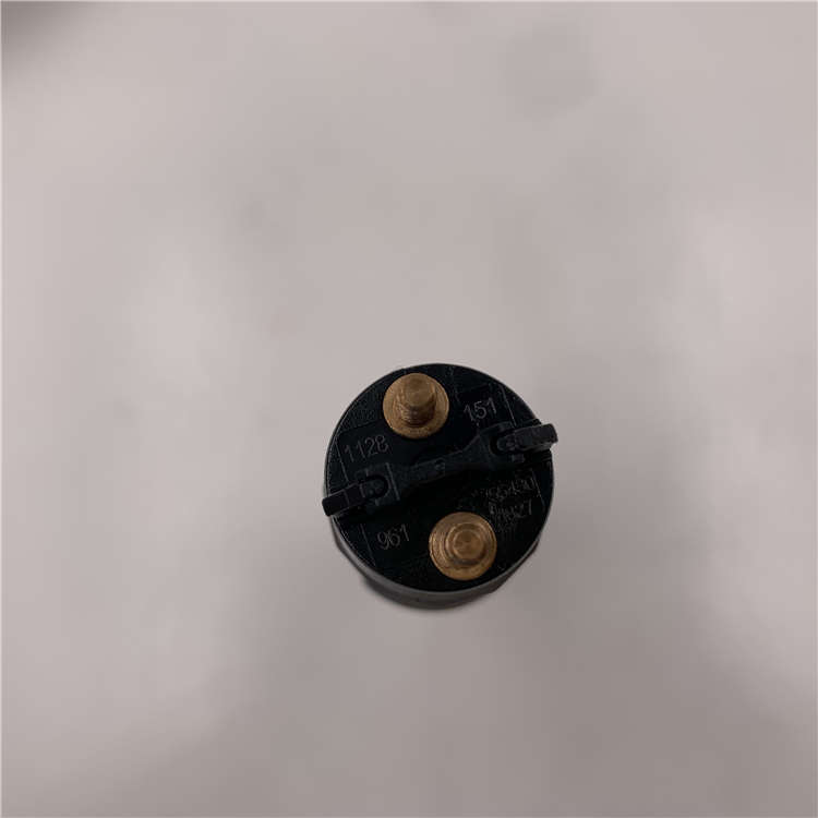 Professional Factory for S type nozzle -
Hot Selling New Rail Injector 0445120151 for Cummins -Chengui detail pictures