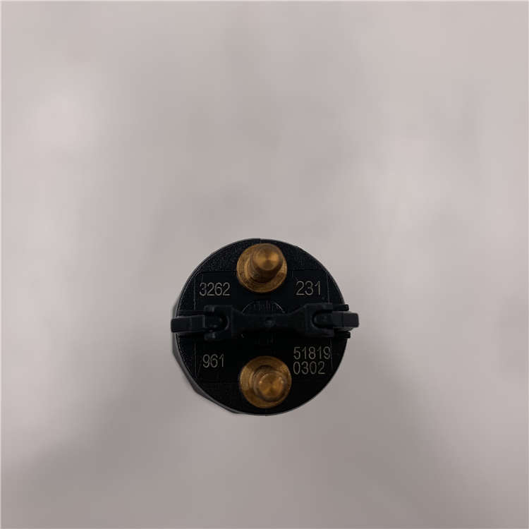OEM Supply common Rail Pressure Sensor -
High Quality Common Rail Fuel Injector 0445120231 for CUMMINS -Chengui detail pictures