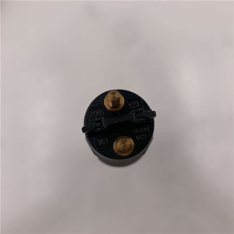 OEM Factory for Common rail injection 0445120011 -
Hot Sale 100% New Common Rail Diesel Fuel Injector 0445120123 For Cummins -Chengui detail pictures