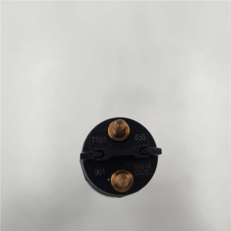 Rapid Delivery for fuel injector 0445110710 -
High Quality Common Diesel Rail Injector 0445120455 -Chengui detail pictures