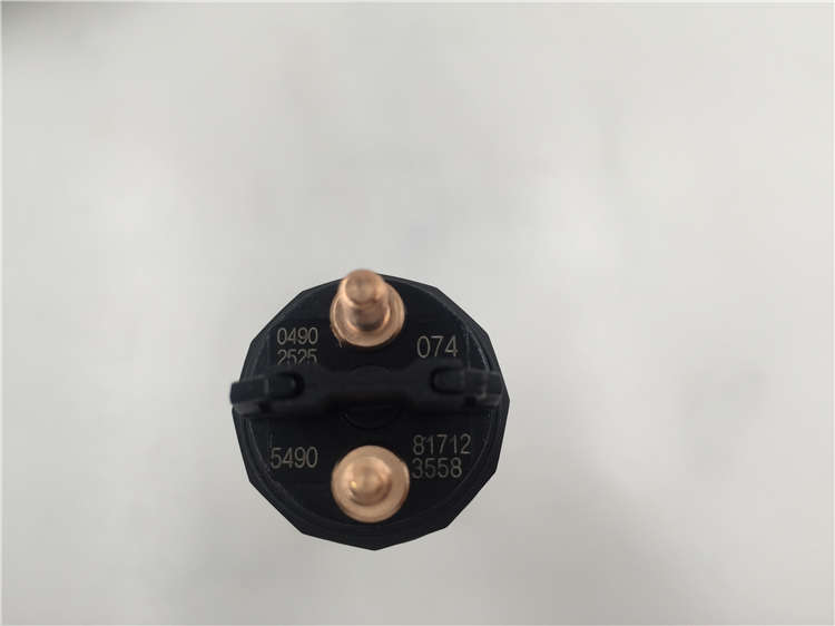 Competitive Price for Denso fuel Pressure Sensor -
Diesel Engine Common Rail Fuel Injector 0445120074 -Chengui detail pictures