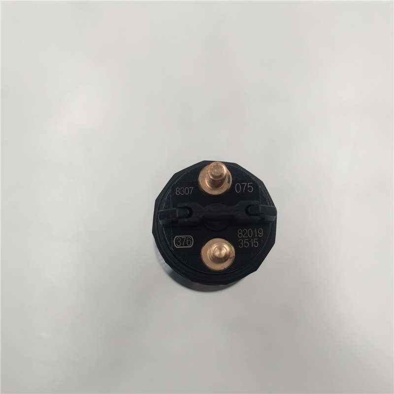 Chinese Professional Common rail valve rod 6353 -
common rail injector 0445120075 with high cost performance -Chengui detail pictures