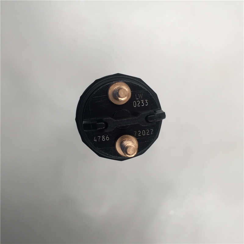 Well-designed BAW-1065 injector -
Diesel Engine Common Rail Fuel Injector 0445120233 -Chengui detail pictures