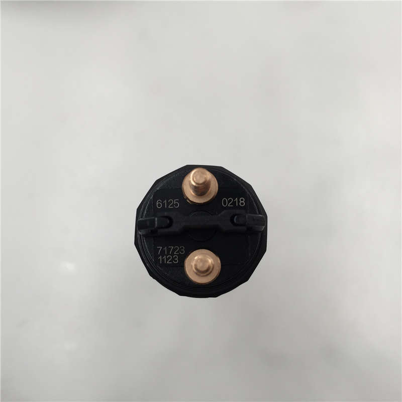 2020 China New Design 33800-42500 injector for Hyun dai H1 H100 -
High Quality China Made New Fuel Injector 0445120218 Common Rail Injector For Man -Chengui detail pictures