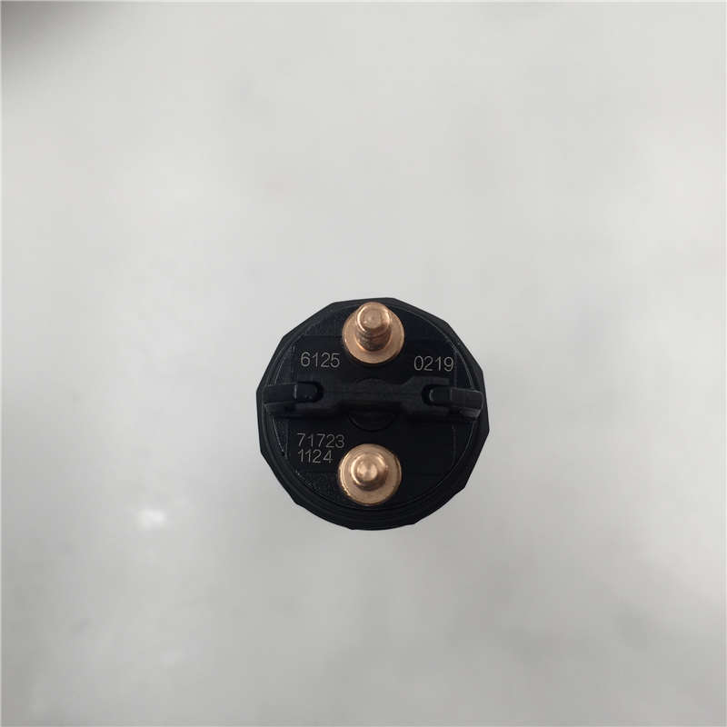 OEM Factory for DCEC injector -
German Truck Diesel Engine Common Rail Fuel Injector 0445120219 -Chengui detail pictures