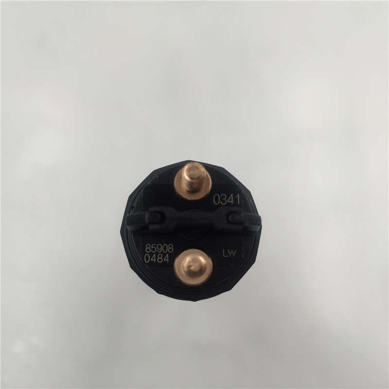 Hot sale Factory Common rail injection 0445110417/416 -
Diesel common rail injector with high cost performance 0445120341 -Chengui detail pictures